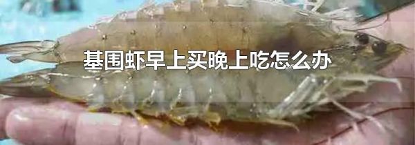基围虾早上买晚上吃怎么办