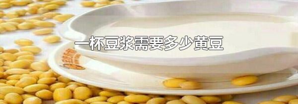 一杯豆浆需要多少黄豆