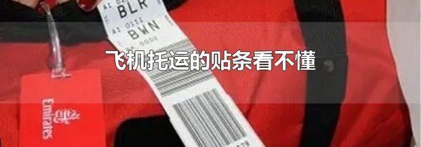 飞机托运的贴条看不懂