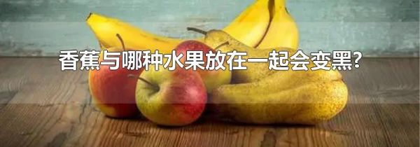 香蕉与哪种水果放在一起会变黑?