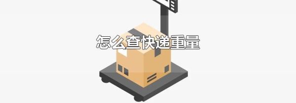 怎么查快递重量