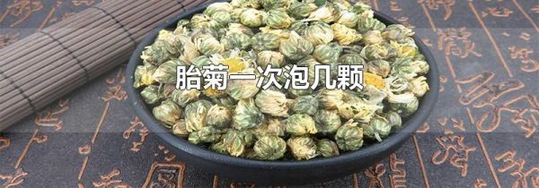 胎菊一次泡几颗