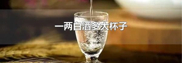 一两白酒多大杯子
