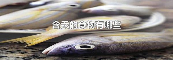 含汞的食物有哪些