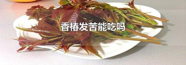 香椿发苦能吃吗