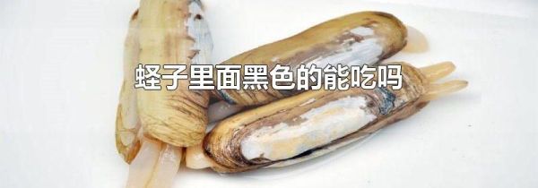 蛏子里面黑色的能吃吗