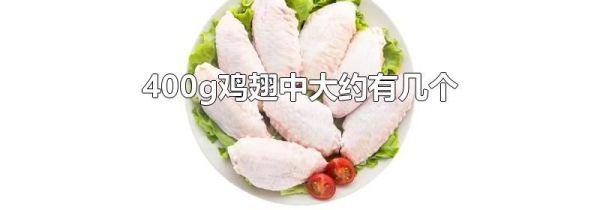 400g鸡翅中大约有几个