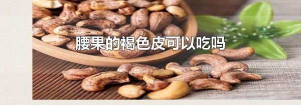 腰果的褐色皮可以吃吗