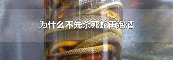 为什么不先杀死蛇再泡酒