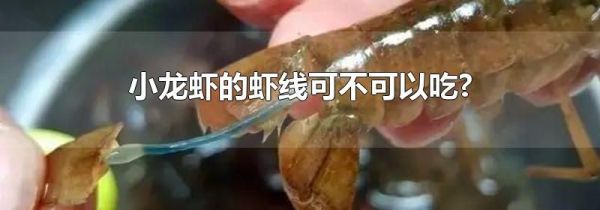 小龙虾的虾线可不可以吃?