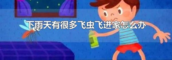 下雨天有很多飞虫飞进家怎么办