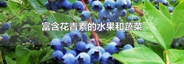 富含花青素的水果和蔬菜