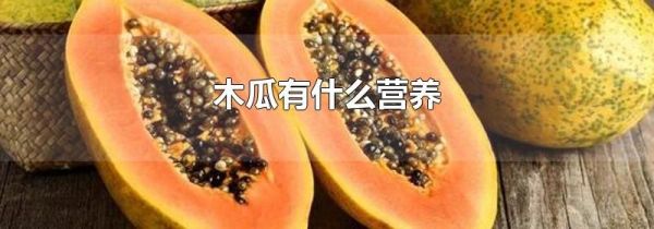 木瓜有什么营养