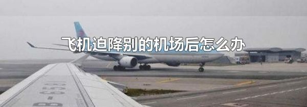 飞机迫降别的机场后怎么办