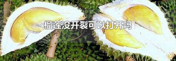 榴莲没开裂可以打开吗