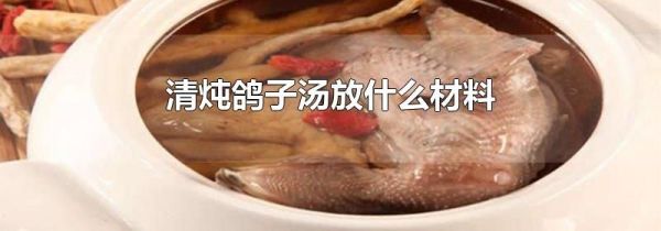 清炖鸽子汤放什么材料