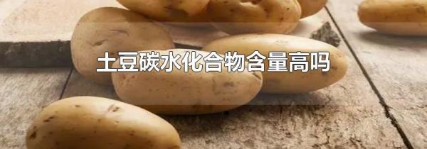 土豆碳水化合物含量高吗