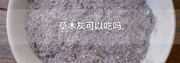 草木灰可以吃吗