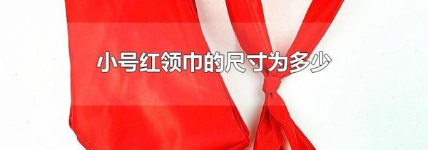 小号红领巾的尺寸为多少