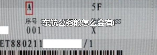东航公务舱怎么会有i