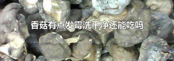 香菇有点发霉洗干净还能吃吗