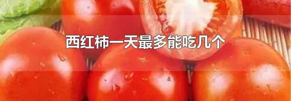 西红柿一天最多能吃几个