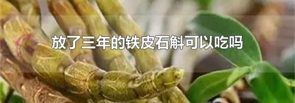 放了三年的铁皮石斛可以吃吗