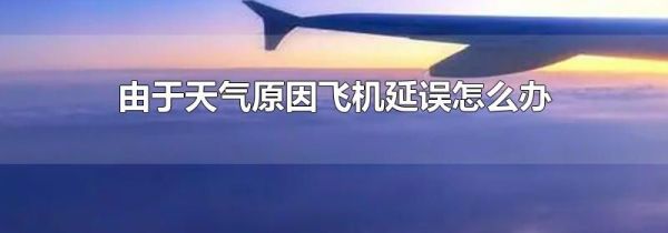 由于天气原因飞机延误怎么办