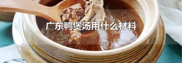 广东鸭煲汤用什么材料