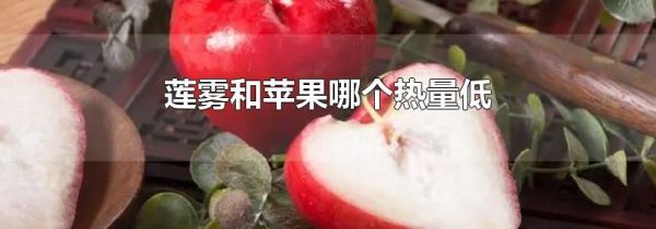 莲雾和苹果哪个热量低