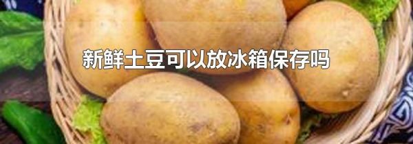 新鲜土豆可以放冰箱保存吗