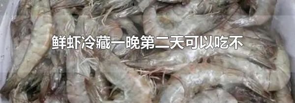 鲜虾冷藏一晚第二天可以吃不