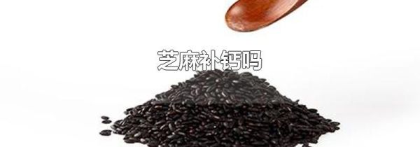芝麻补钙吗