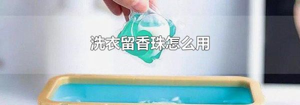 洗衣留香珠怎么用