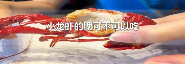 小龙虾的腮可不可以吃