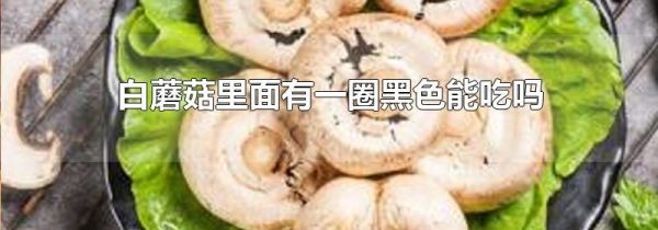 白蘑菇里面有一圈黑色能吃吗