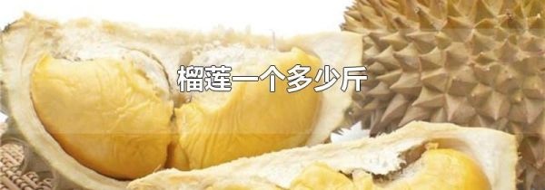 榴莲一个多少斤
