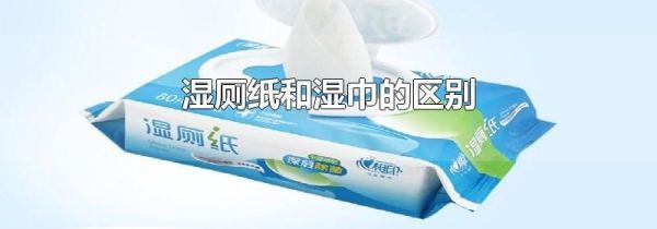 湿厕纸和湿巾的区别