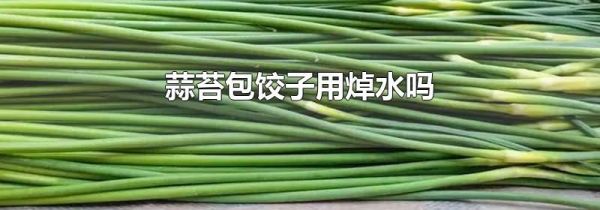 蒜苔包饺子用焯水吗