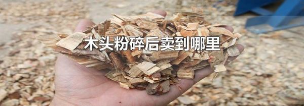 木头粉碎后卖到哪里