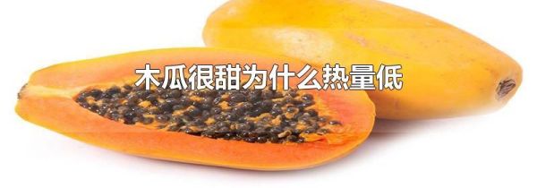 木瓜很甜为什么热量低