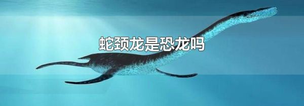 蛇颈龙是恐龙吗