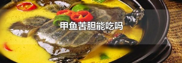 甲鱼苦胆能吃吗