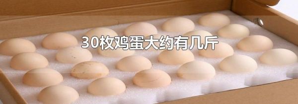 30枚鸡蛋大约有几斤