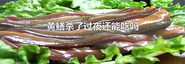 黄鳝杀了过夜还能吃吗