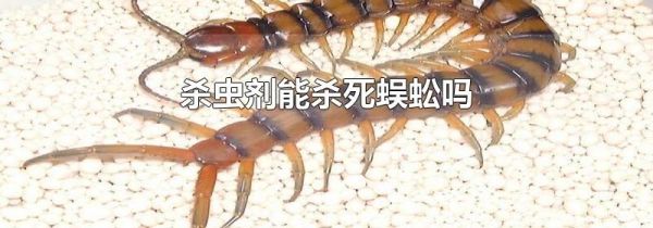 杀虫剂能杀死蜈蚣吗
