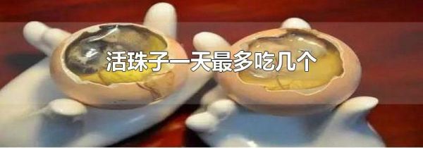 活珠子一天最多吃几个