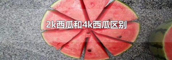 2k西瓜和4k西瓜区别