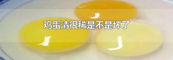 鸡蛋清很稀是不是坏了