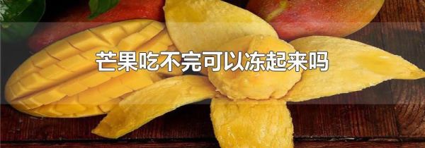 芒果吃不完可以冻起来吗